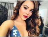 dannapaolar